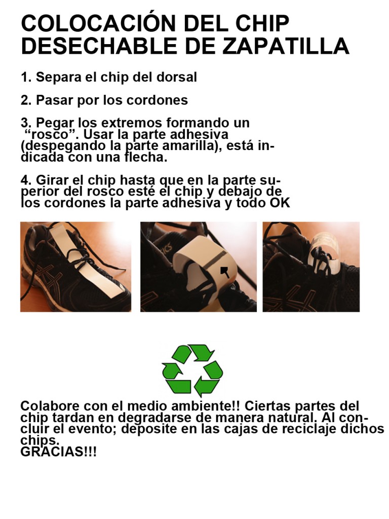 instrucciones chip pinto